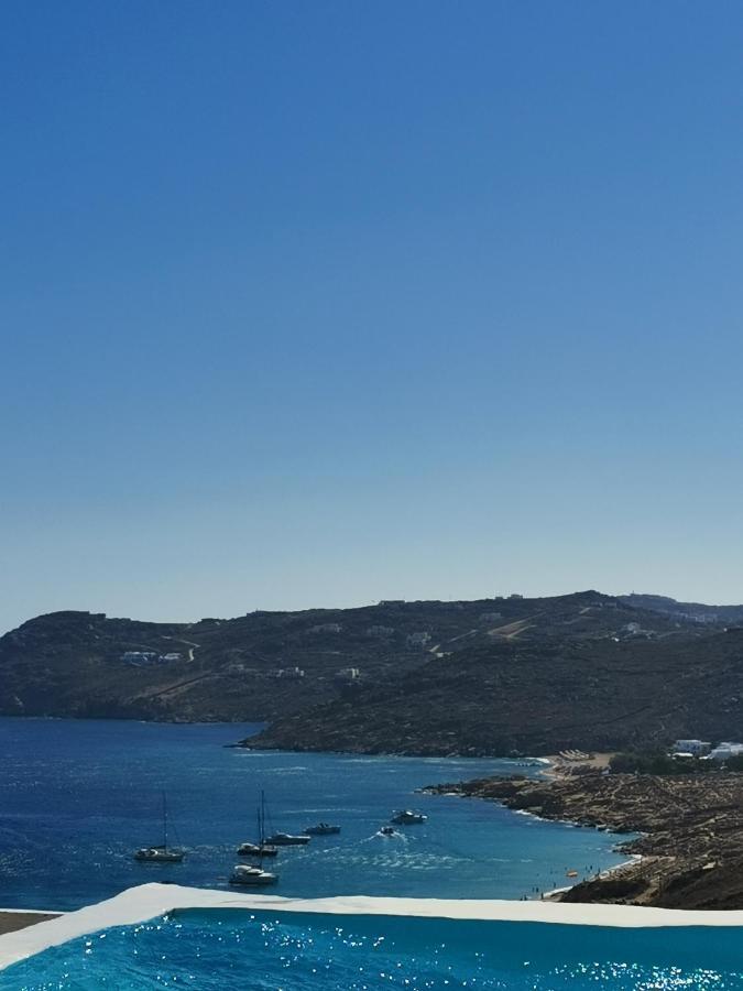 Villa Viktoria In Elia Beach, Mykonos Mykonos Town Luaran gambar