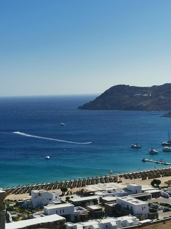 Villa Viktoria In Elia Beach, Mykonos Mykonos Town Luaran gambar